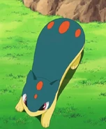 AshQuilavaNoFlame