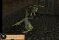 Terrorbird guards.png