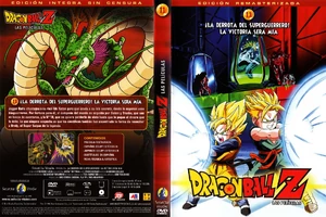 11-El combate definitivo