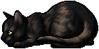 Mothpelt.kit