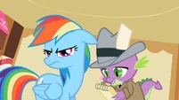 Rainbow Dash ear drop S2E8