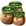 Oils