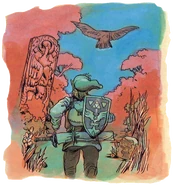 Link and Owl