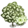 Chinese Fringe Tree-icon