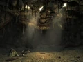 Ant mound interior.jpg