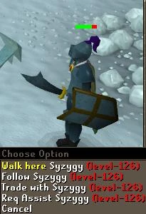 Syzygy wearing full rune