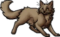 Mudfur.apprentice