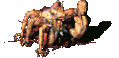 Animcentaur
