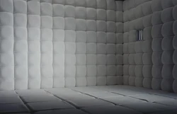 Padded room