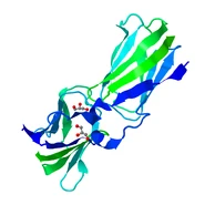 4G5At.pdb