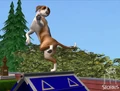 The Sims Pet Stories4