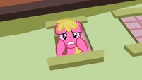 Cherry Berry says sorry S2E08