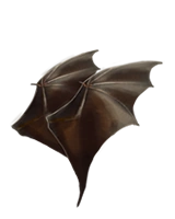 BatWings