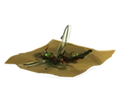 DragonflyThoraxes.png