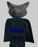 Chakor Ninjago