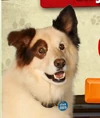 Dwab3