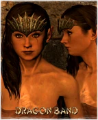 Armour Head Dragon Band