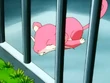 EP090 Rattata