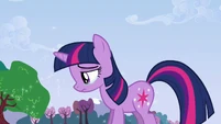 Twilight Sparkle crying S2E25