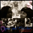 Collage flyna