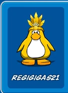 Reg21