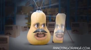 Squash