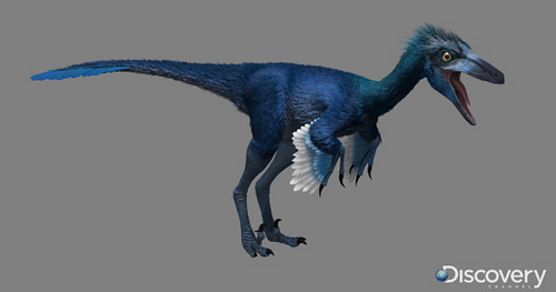 troodon dinosaur simulator