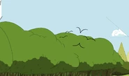 Modelsheet birds