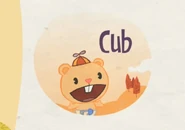 Cub opening