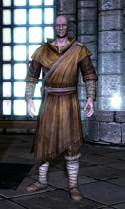 Sergius Turrianus (Skyrim)