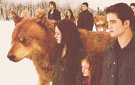 Tumblr maqvn5fEs1qd41g8o1 250