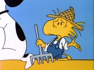 Farmer Woodstock