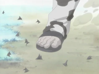 Makibishi2