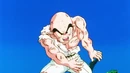 Dbz115-26