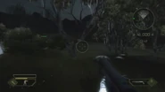 RMB
