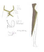 Fb608666