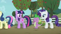 Twilight, Spike, And Rarity S2E15