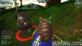 PirateMaskedBear(DBO)