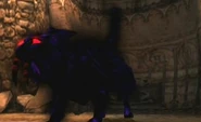 Demonic Shadow Cat