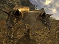 Eyes night stalker.jpg