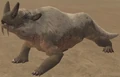 Bocatt.jpg