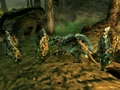 Giant rats BFC.jpg