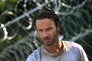 Rick WD S3