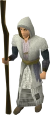 Mercenary mage