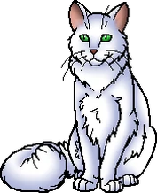 Blizzardstar.leader