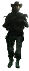 ZiTLs