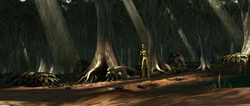 Perlote trees