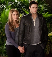 Rossemettbd2