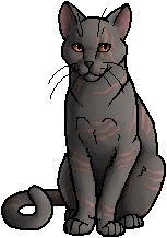 Marshscar.leader