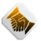 TellerMerit